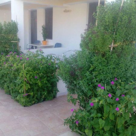 Villas Irene 5 Family Apartments Kokkini Hani Exterior photo